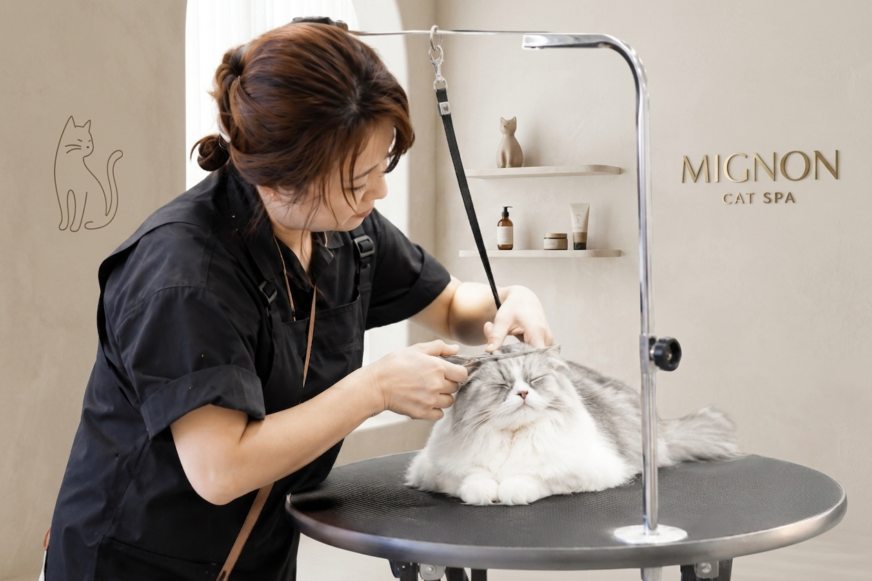 猫専門のグルーマー講師